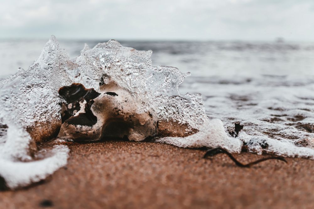 Feuerstein im Meer